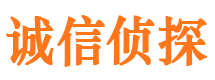 新野婚外情调查取证